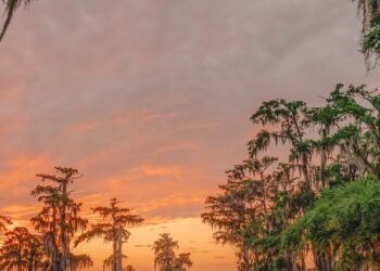 10 Finest Locations In Louisiana To Go to – Hand Baggage Solely