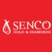 Senco Gold raises Rs 459 crore by way of QIP, allots 40.8 lakh shares
