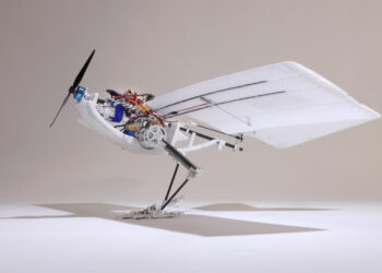 This bird-inspired drone is extra vitality environment friendly and proficient at complicated flight maneuvers