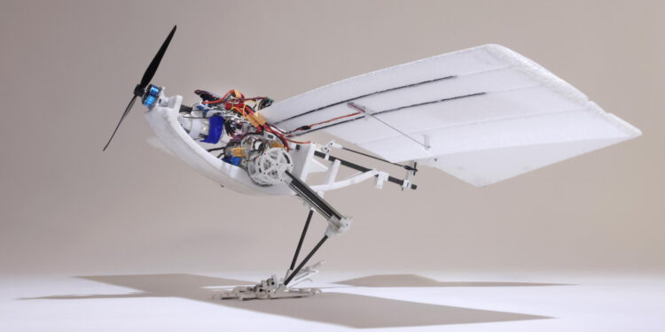 This bird-inspired drone is extra vitality environment friendly and proficient at complicated flight maneuvers
