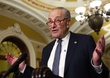 US Democrats re-elect 74-year-old Senate chief — RT World Information