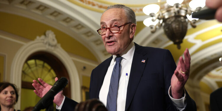 US Democrats re-elect 74-year-old Senate chief — RT World Information