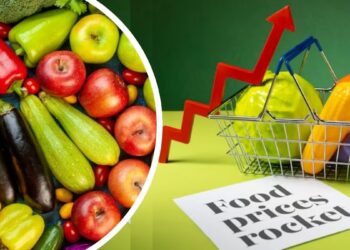Easing retail inflation, uptick in manufacturing unit output give breather to economic system