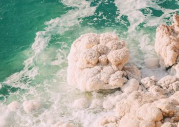 Visiting The Useless Sea in Jordan And Additionally Mount Nebo, Madaba And Shobak Citadel – Hand Baggage Solely