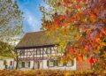 Autumn in Germany 2024: Get pleasure from wonderful Colours and Tradition