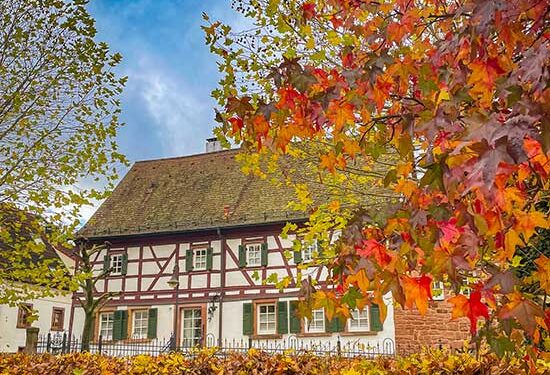 Autumn in Germany 2024: Get pleasure from wonderful Colours and Tradition