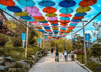 The Final Information to 19 Greatest Day Excursions in Seoul for Each Type of Traveler