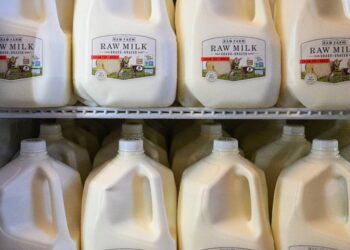 Is Uncooked Milk Protected? Here is What to Know