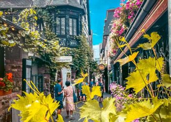 19 Superb Issues to Do in Rudesheim | What to do in Rudesheim Germany