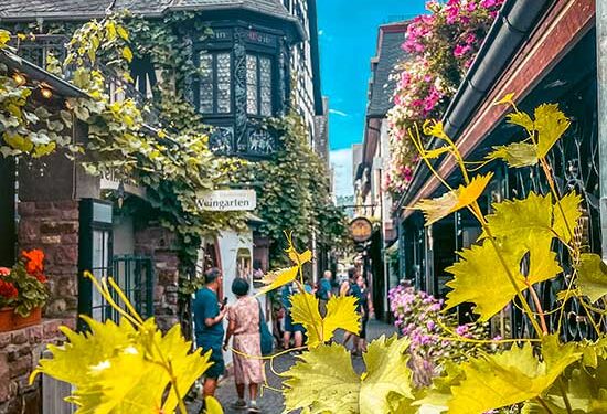 19 Superb Issues to Do in Rudesheim | What to do in Rudesheim Germany