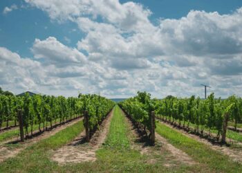 The Final Information To Prince Edward County, Ontario