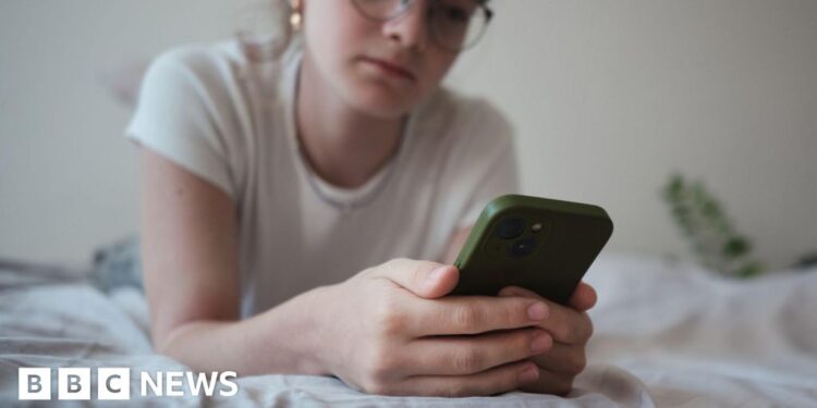 Controversial chatbot’s security measures ‘a sticking plaster’