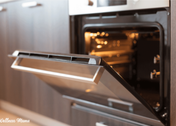 Learn how to Clear An Oven (With Non-Poisonous Cleaners)