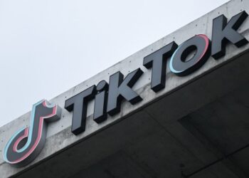 Donald Trump asks Supreme Court docket to delay TikTok ban to allow ‘political resolution’