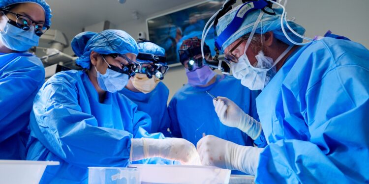 Surgeons transplant a genetically modified pig kidney right into a human : Photographs