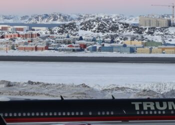 Most People don’t need Greenland – ballot — RT World Information