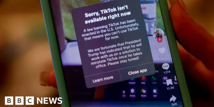 TikTok goes offline within the US hours earlier than ban is available in