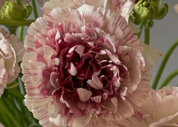 Have a Loving Weekend. | Cup of Jo