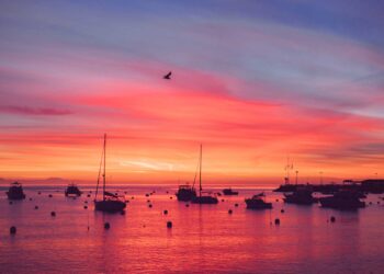 Catalina Island, California – I chickened out; However someway obtained rewarded