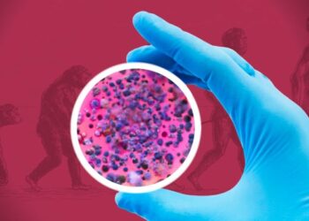 Scientists intention for ‘Darwinian evolution’ with synthetic life venture