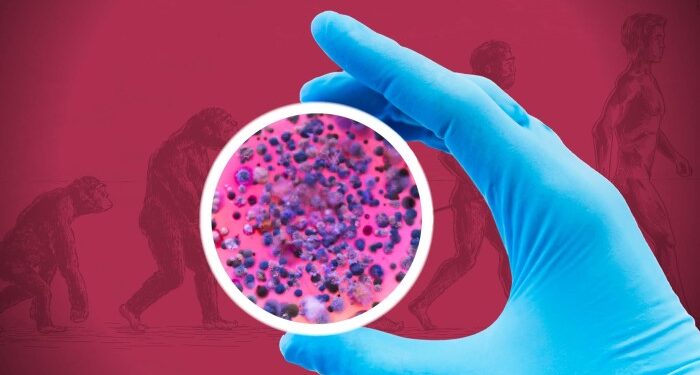 Scientists intention for ‘Darwinian evolution’ with synthetic life venture