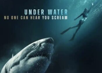 INTO THE DEEP Richard Dreyfuss and a Nice White shark – assessment