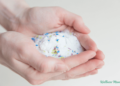 Microplastics In Salt and The right way to Keep away from Them