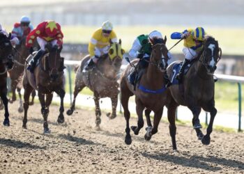 In the present day on Sky Sports activities Racing: Lingfield and Wolverhampton host aggressive Flat motion on Monday | Racing Information