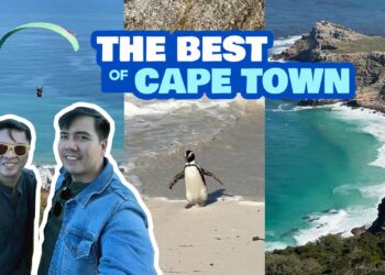 15 Finest CAPE TOWN Excursions & Issues to Do • South Africa
