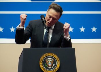 These paperwork are influencing the DOGE-sphere’s agenda