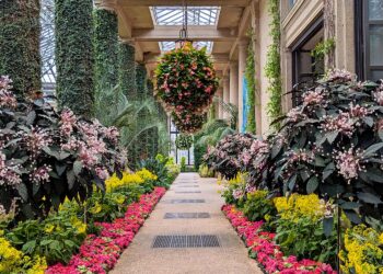 A Winter Getaway to Longwood Gardens: The place to Dine, Keep, and Discover
