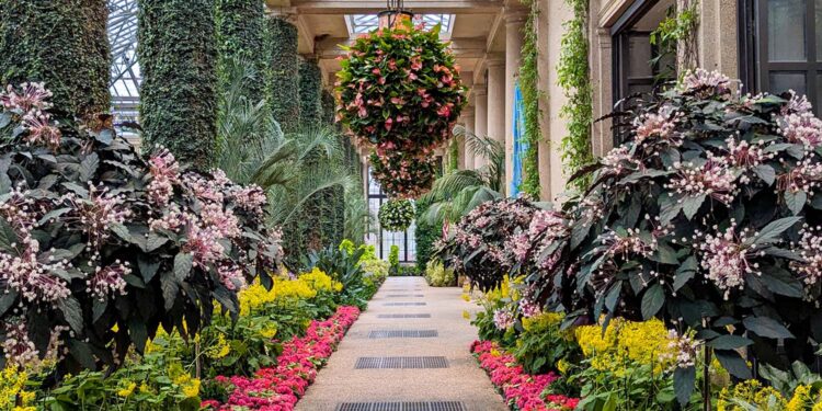 A Winter Getaway to Longwood Gardens: The place to Dine, Keep, and Discover