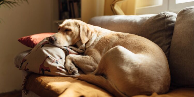 Have a Restful Weekend. | Cup of Jo