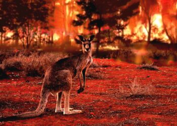 The World Has Modified – And So Should The Planet D