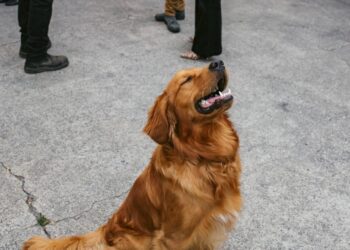 Have a Beautiful Weekend. | Cup of Jo