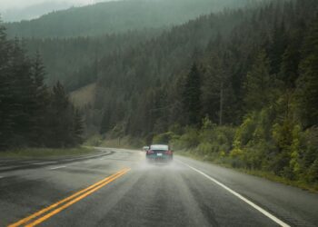 EV Journey Planner: The Finest Locations within the US for Touring In an EV