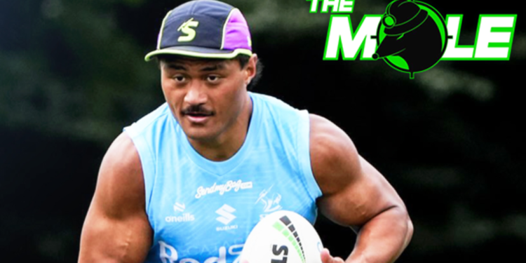 NRL Season Preview 2025: Melbourne Storm spherical 1 beginning 17 predictions, staff checklist, newest information, odds to win comp