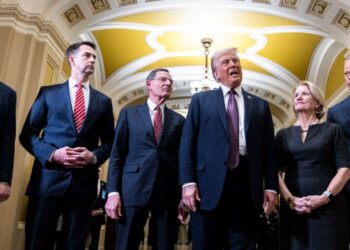 Republicans wish to shrink Medicaid. This is what’s behind that : Photographs