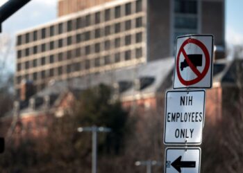 Federal well being businesses together with CDC, NIH, and FDA take inventory of layoffs : Pictures