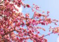 The Greatest Spring Gross sales Proper Now