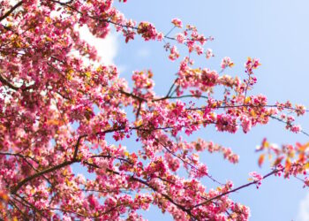 The Greatest Spring Gross sales Proper Now