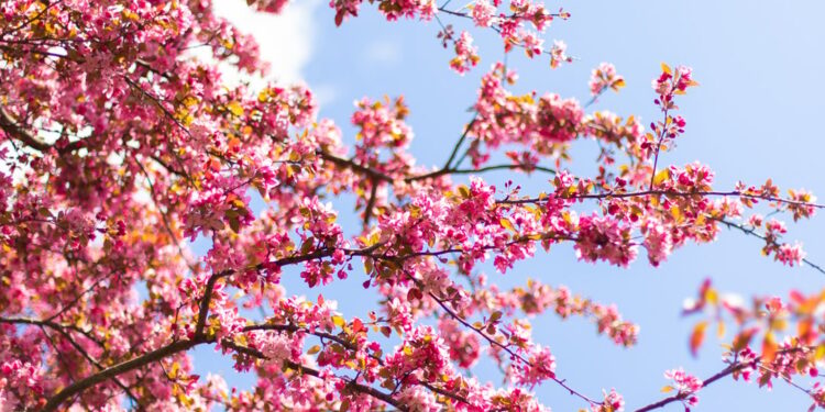 The Greatest Spring Gross sales Proper Now