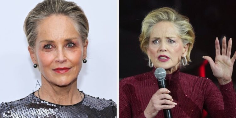 Sharon Stone Says She Was Solid In One other Easy Favor