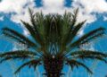 10 Prime Inns Close to Epic Universe Orlando