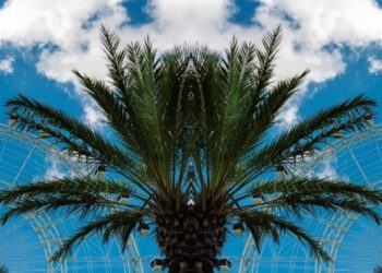 10 Prime Inns Close to Epic Universe Orlando