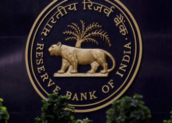 Progress in internet gross sales of FDI cos moderated to 9.3 computer in FY24: RBI