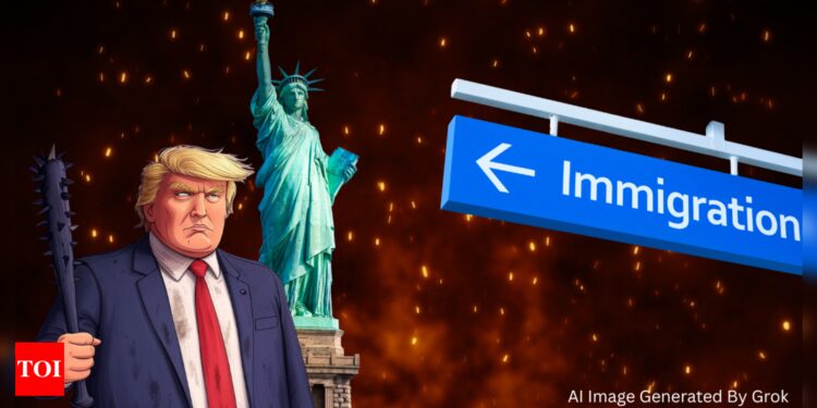 Screening would not cease while you get visa: Trump adminstration warns immigrants | World Information