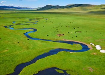 Why 2023 is the yr to go to Mongolia