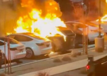 ‘Left is the get together of violence & hate’: Musk says as FBI investigates ‘potential act of terrorism’ after Tesla automobiles torched in Las Vegas