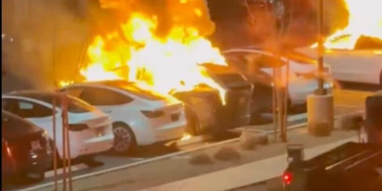 ‘Left is the get together of violence & hate’: Musk says as FBI investigates ‘potential act of terrorism’ after Tesla automobiles torched in Las Vegas